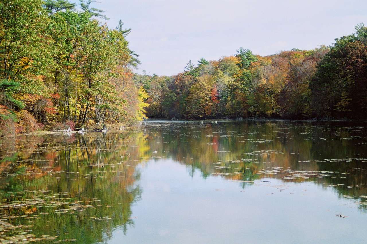 Springwater Conservation Area