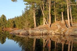 Algonquin - Tim River