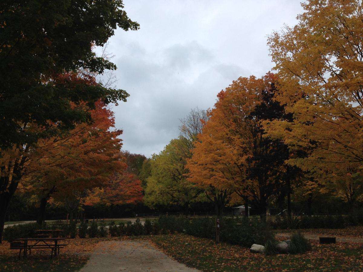 Memorial Park