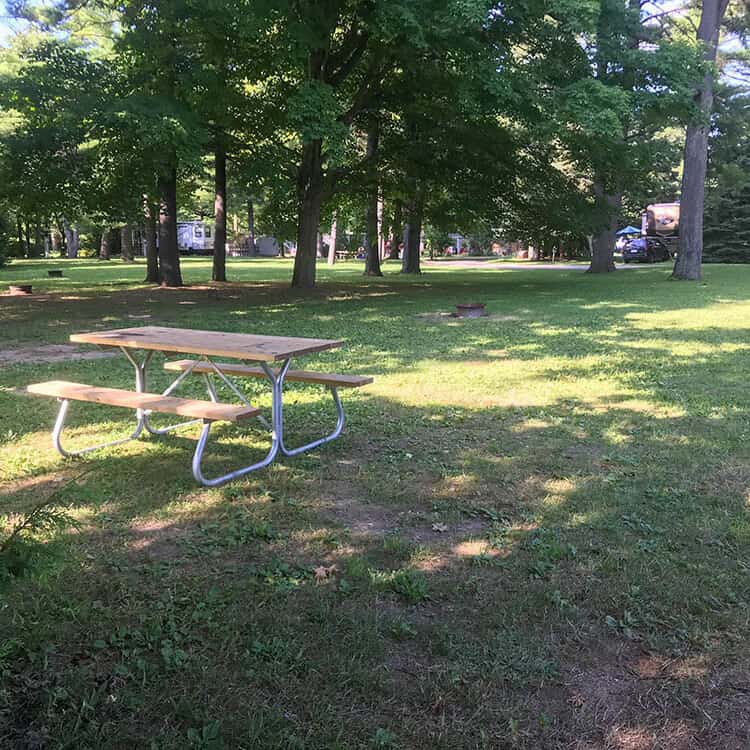 Whistle Bare Campground