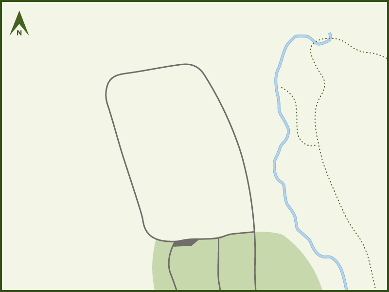 The Pines