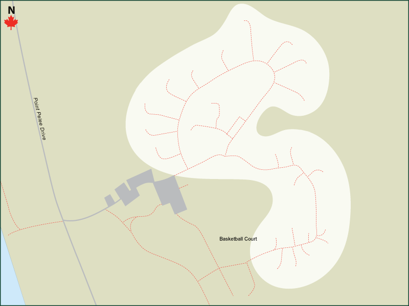 Camp Henry