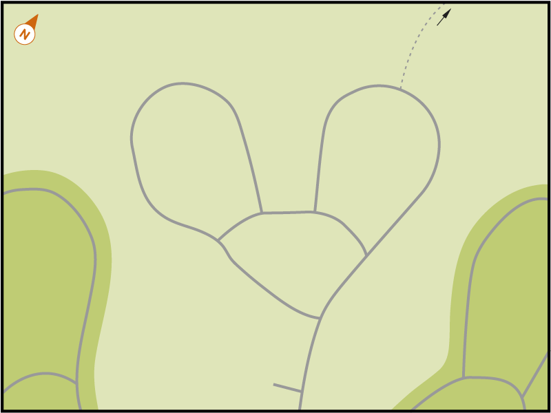 Foxway
