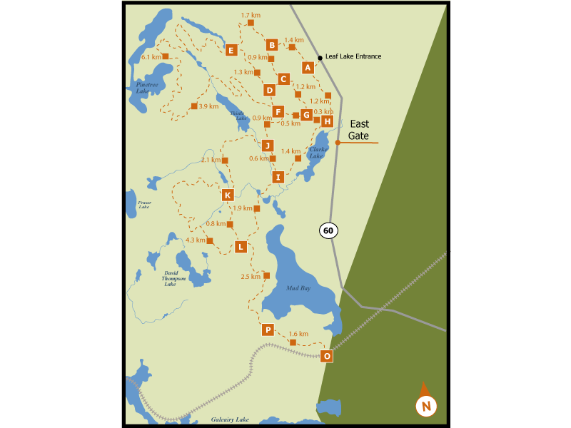 East Gate (Leaf Lake Cabins)