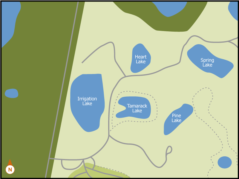 Camp Cabin