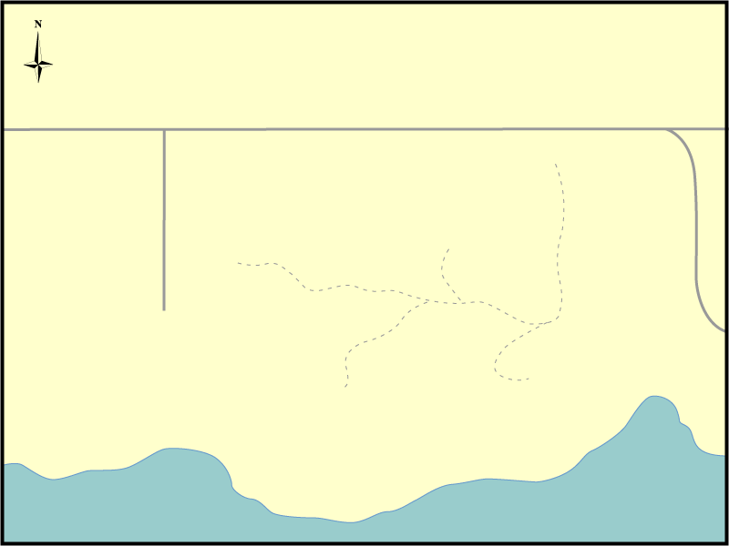 The Pines